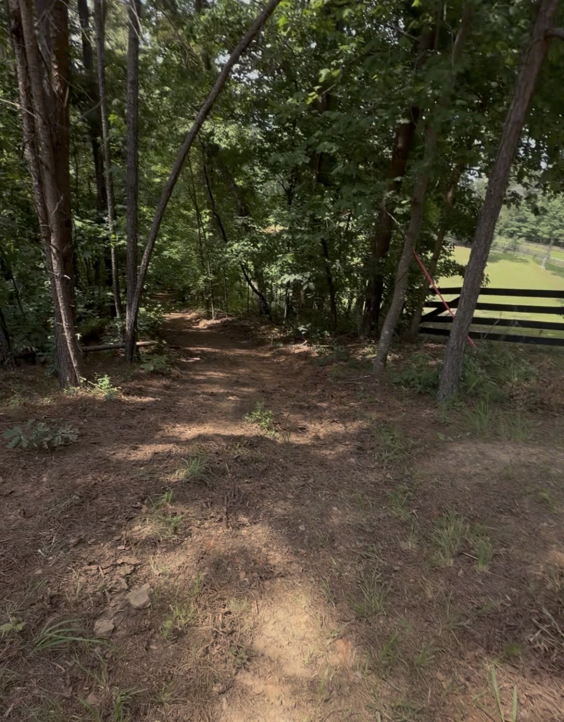 The private half-mile nature trail winding through the woods
